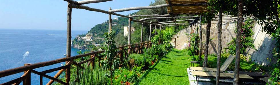 Special Offers - Pagliarulo Complex
